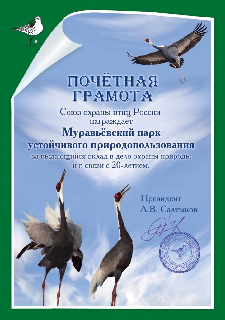 20 pochet zhur.JPG